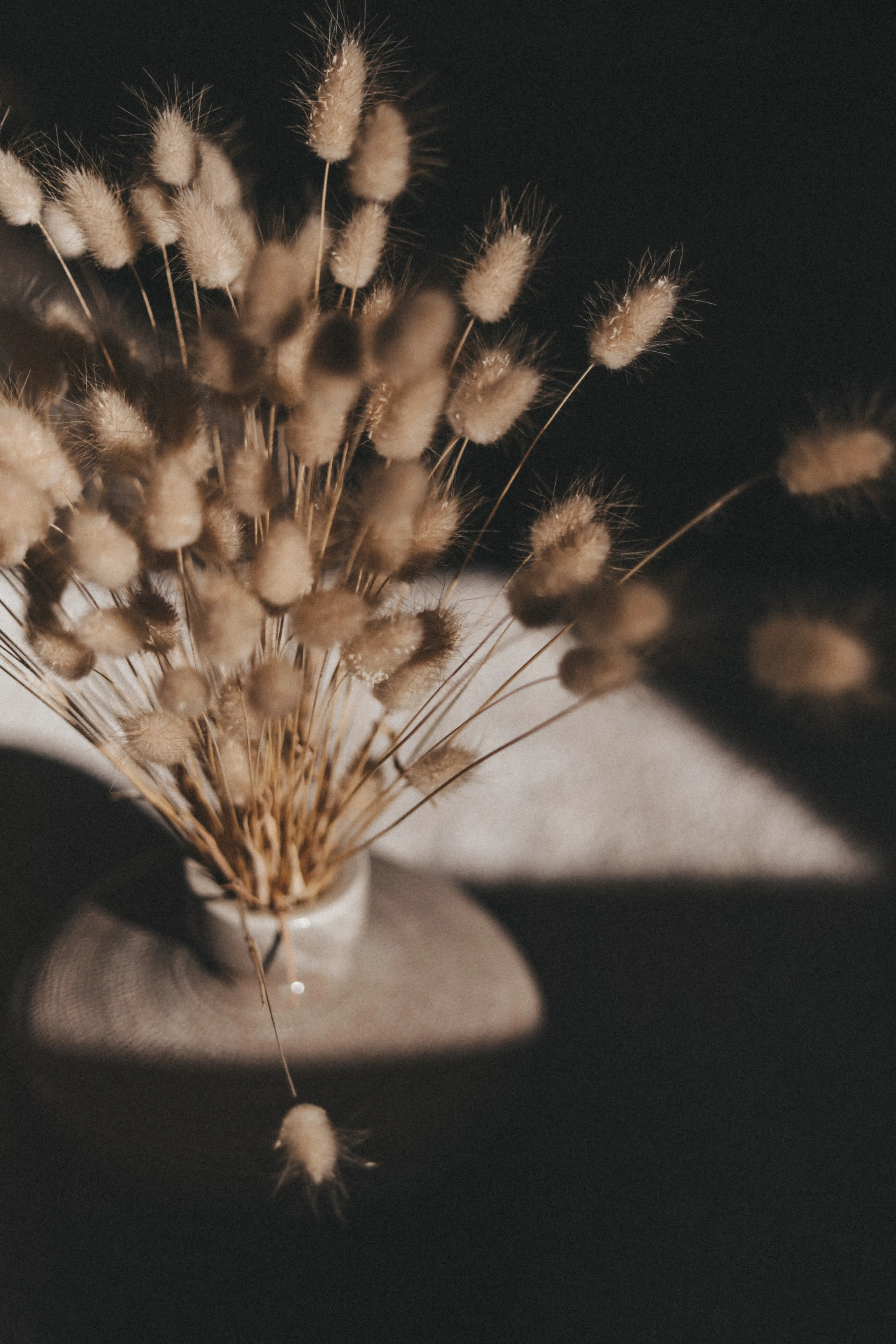 cours de sophrologie en ligne cercles sophro