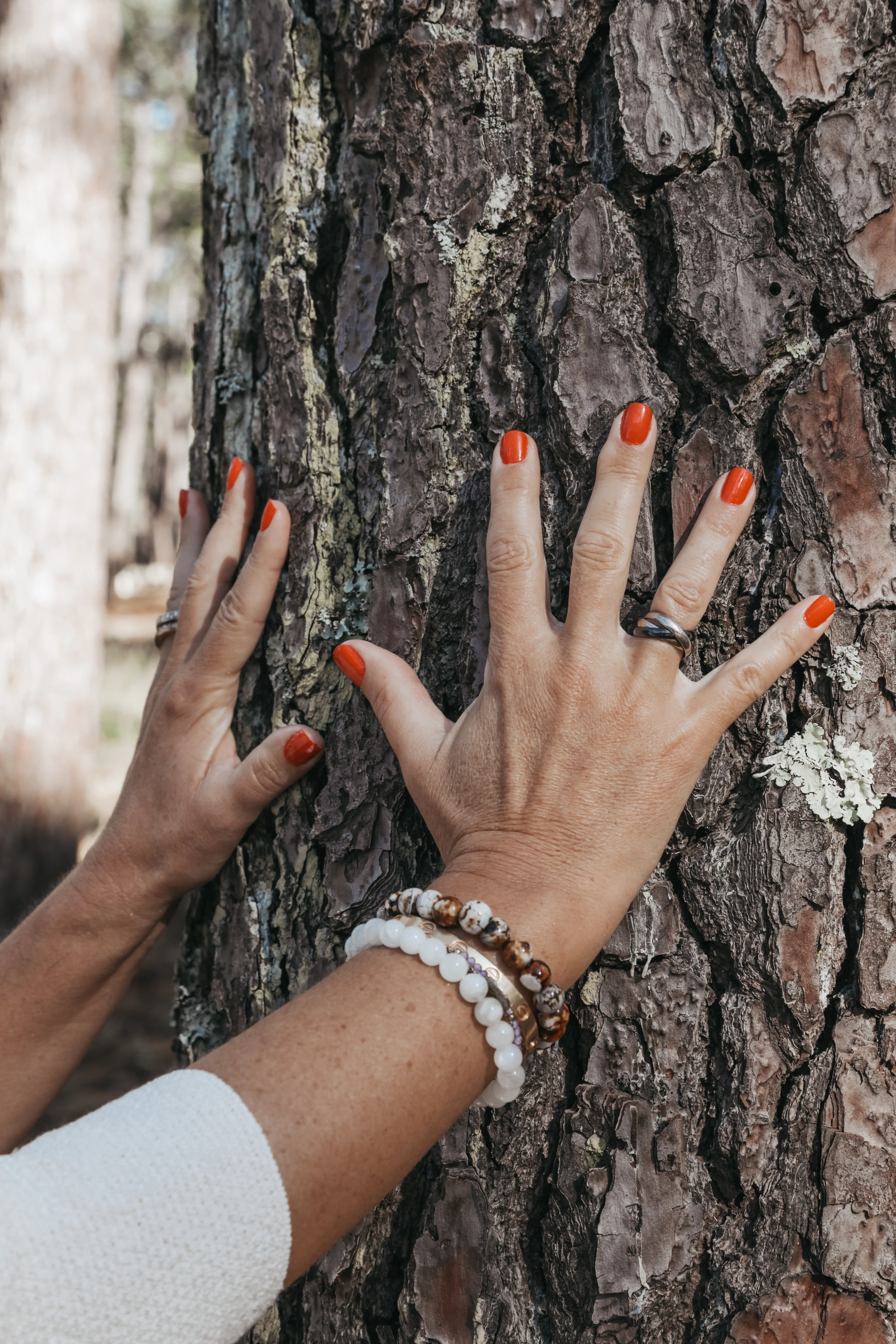 cours sophrologie en ligne aller a l'essentiel programme sophrologie en ligne