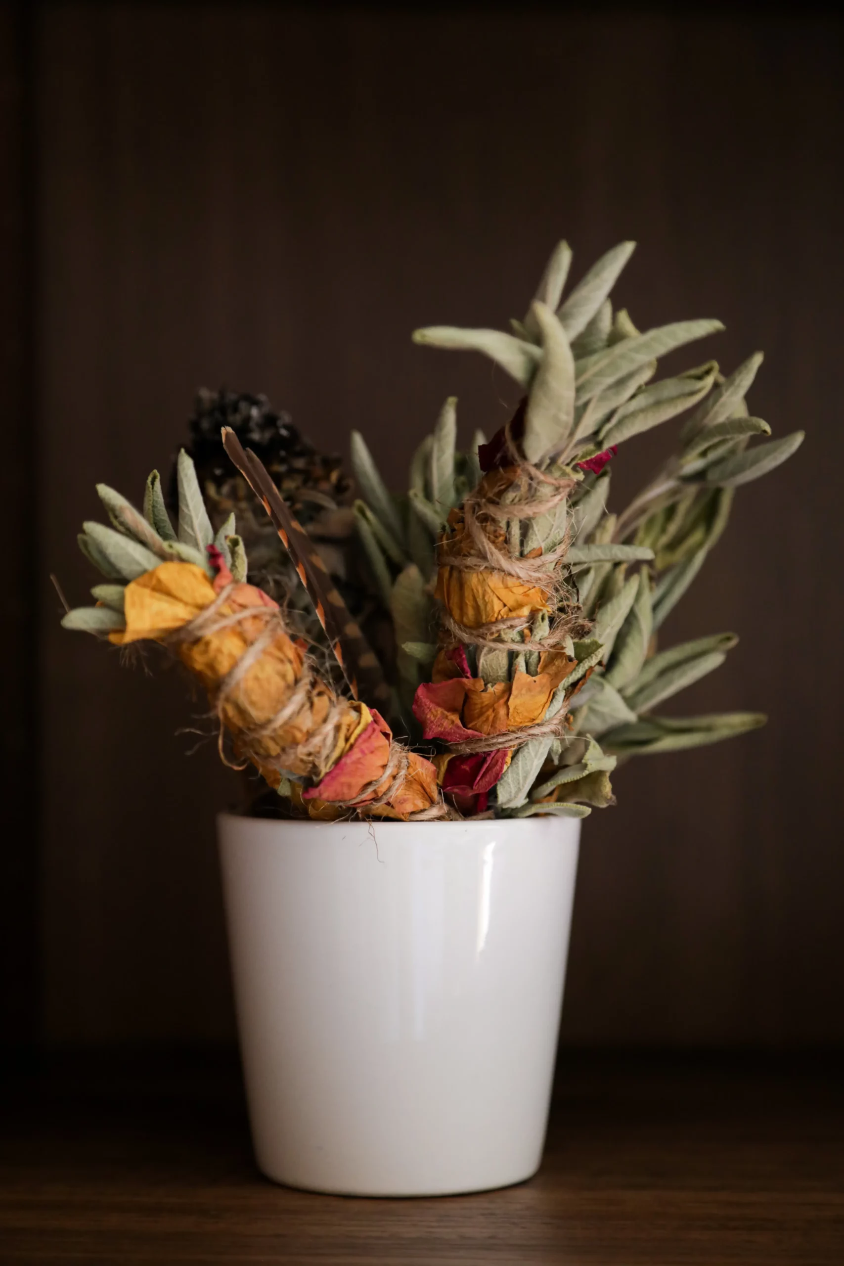 sophrologie en ligne cercles sophrologie